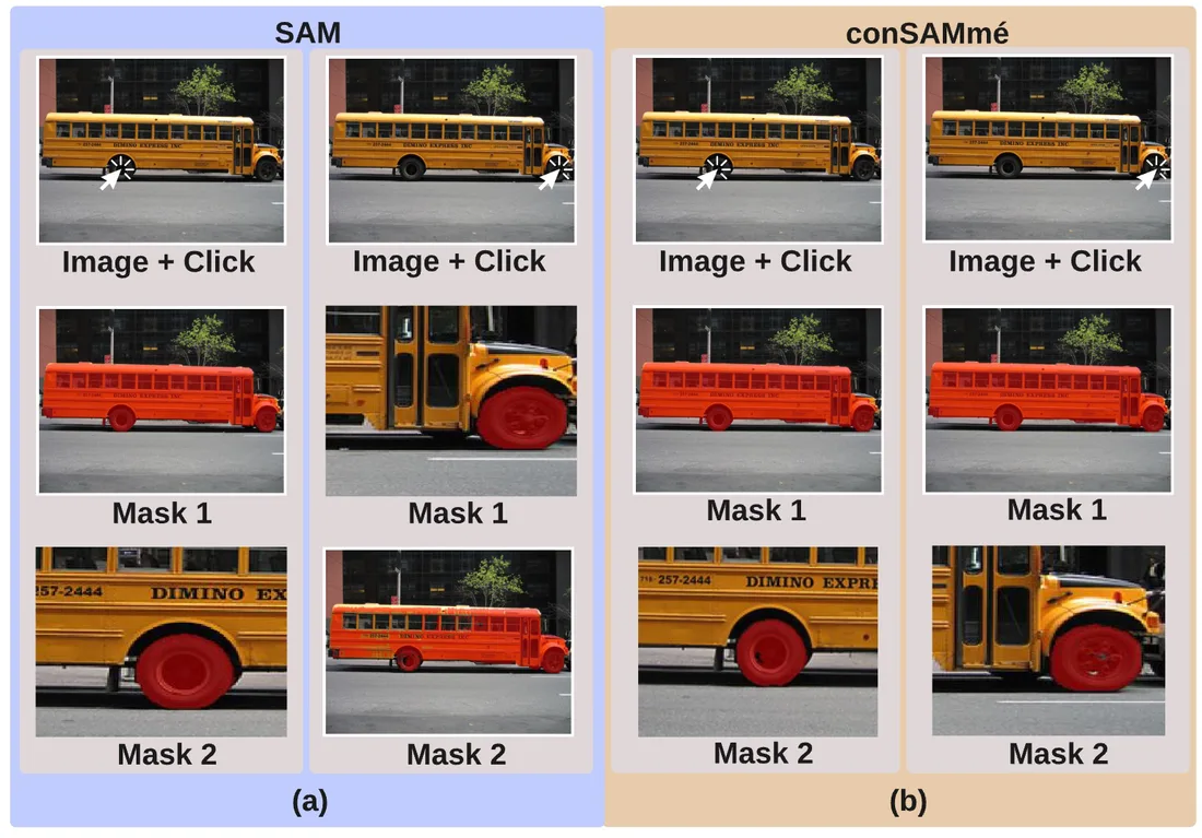 conSAMme contrastive learning framework for consistent SAM segmentations